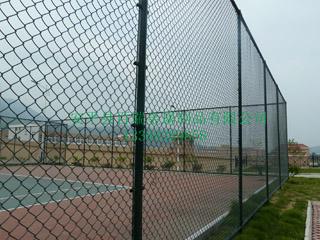 球場(chǎng)護(hù)欄網(wǎng)